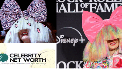 celebrity net worth