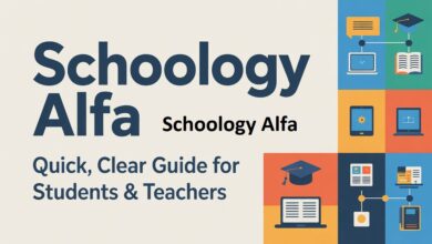 Schoology Alfa