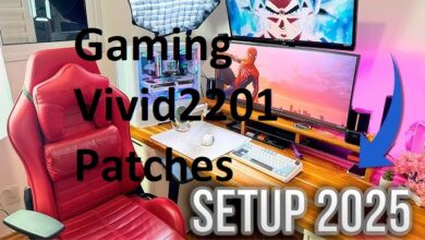 Gaming Vivid2201 Patches