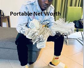 Portable Net Worth