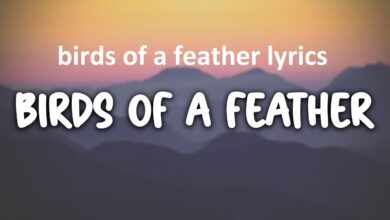 birds of a feather lyrics