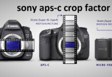 sony aps-c crop factor