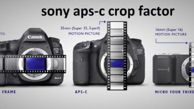 sony aps-c crop factor