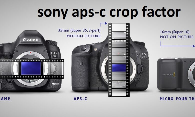 sony aps-c crop factor