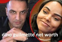 dino guilmette net worth