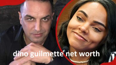 dino guilmette net worth