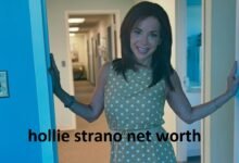 hollie strano net worth