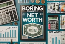 Net Worth TheBoringMagazine